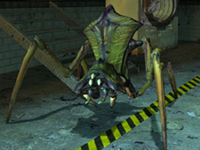Antlion